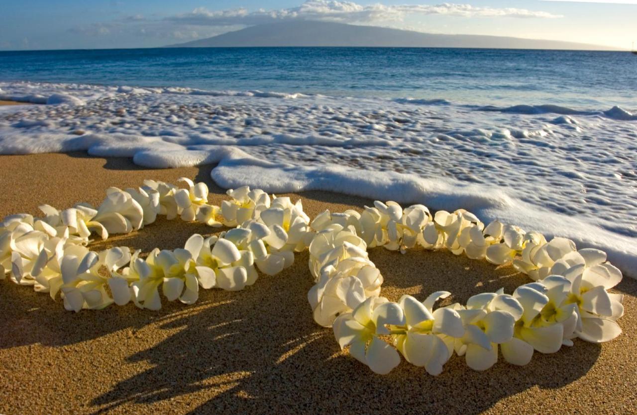 Cozy Waikiki Getaway, Stroll To Beach With Free Parking Honolulu Exterior photo